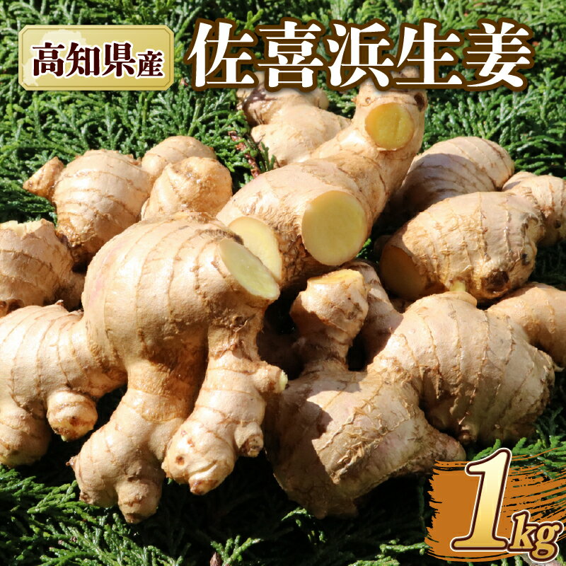 国産 佐喜浜生姜 約1kg 生姜 ショウガ 野菜 やさい 薬味 料理 家庭用 農家直送 旬 野菜 生姜焼き 高知県 室戸市