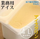 【ふるさと納税】 うみのバニラ 4L 4リットル 低カロリー 高知名物 業務用 大容量 家庭用 アイス アイスクリーム デザート スイーツ アイスクリン お菓子 送料無料 mt008