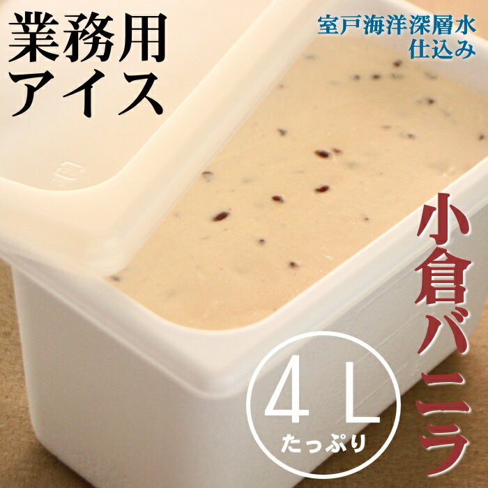 37位! 口コミ数「1件」評価「4」小倉バニラ アイス 4L 4リットル 業務用 大容量 家庭用 アイスクリーム デザート スイーツ お菓子 送料無料 mt011