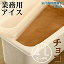 【ふるさと納税】 チョコ アイス 4L 4リットル 業務用 大容量 家庭用 チョコレート アイスクリーム デザート スイーツ お菓子 送料無料 mt012