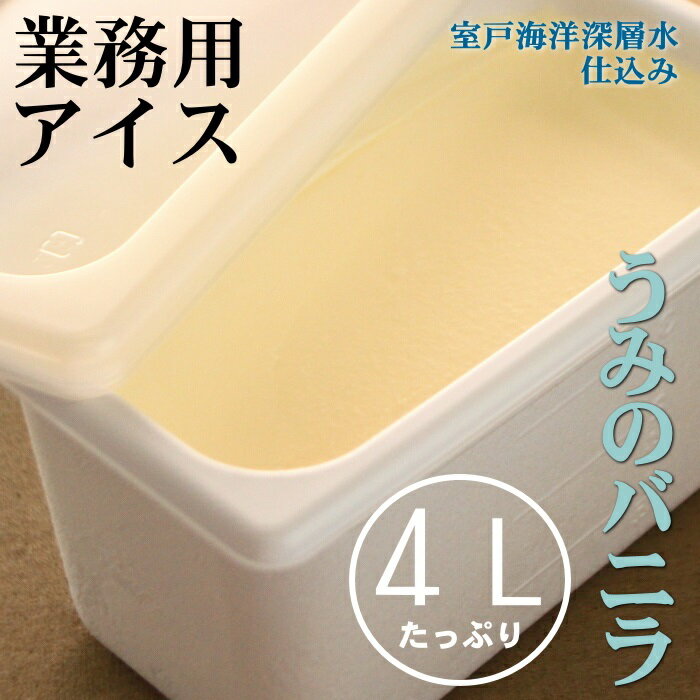 3位! 口コミ数「1件」評価「5」うみのバニラ 4L 4リットル 塩バニラ 業務用 大容量 家庭用 アイス アイスクリーム デザート スイーツ お菓子 送料無料 mt007