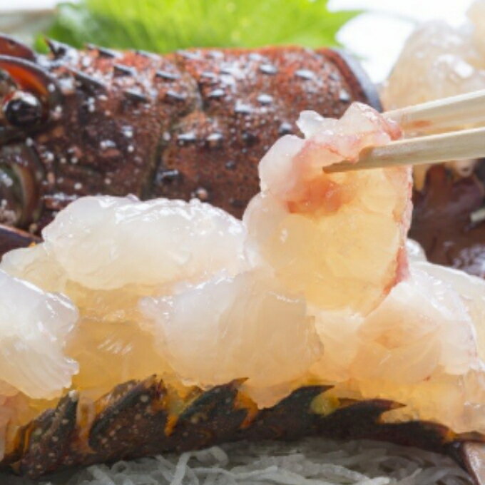 ڤդ뤵Ǽǡ  ɿȤ˻Ȥ  Ϸ 25 1kg ŷ      ...