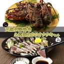 【ふるさと納税】 活冷伊勢海老 1kg と 藁焼きカツオたたき 2節 セット 高知 のいいとこどり 天然 伊勢エビ いせえび イセエビ 鰹のタタキ かつおのたたき 海鮮 魚介類 国産 送料無料 ry056