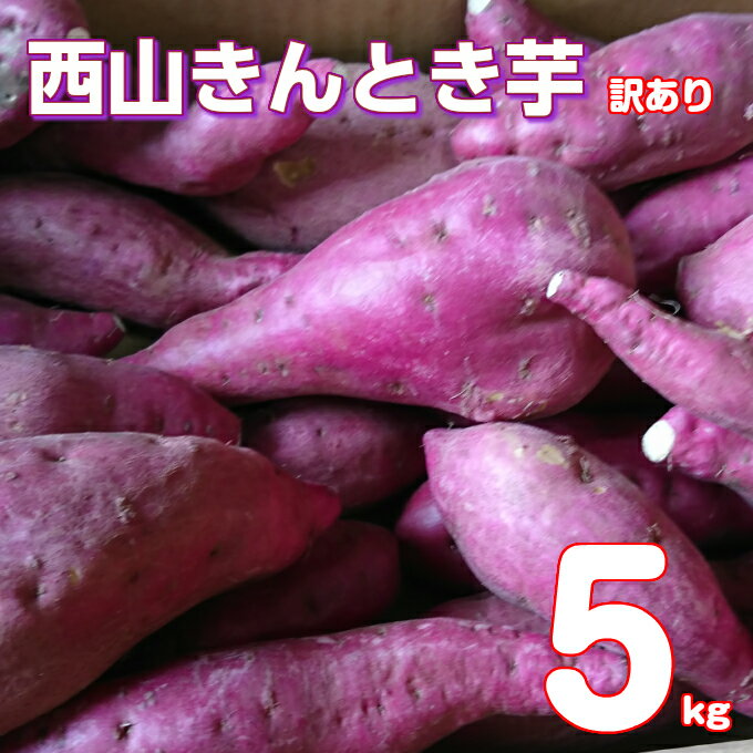 【ふるさと納税】【訳あり】西山きんとき芋 5kg 　新芋さつまいも サツマイモ さつま芋 焼き芋 やきいも ヤキイモ 野菜 故郷納税 送料無料 ta021のサムネイル