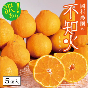 【ふるさと納税】【先行予約】【訳あり】岡村農園の不知火 5kg 15~23玉程度 【コロナ緊急支援品】不知火 しらぬい 果物 柑橘系 みかん ミカン 傷あり 不揃い ご家庭用 送料無料 <1月上旬より発送> DP002