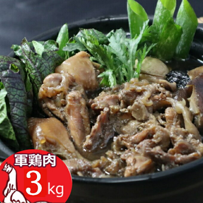 【ふるさと納税】土佐闘鶏 シャモ肉 合計3kg (シャモ肉・