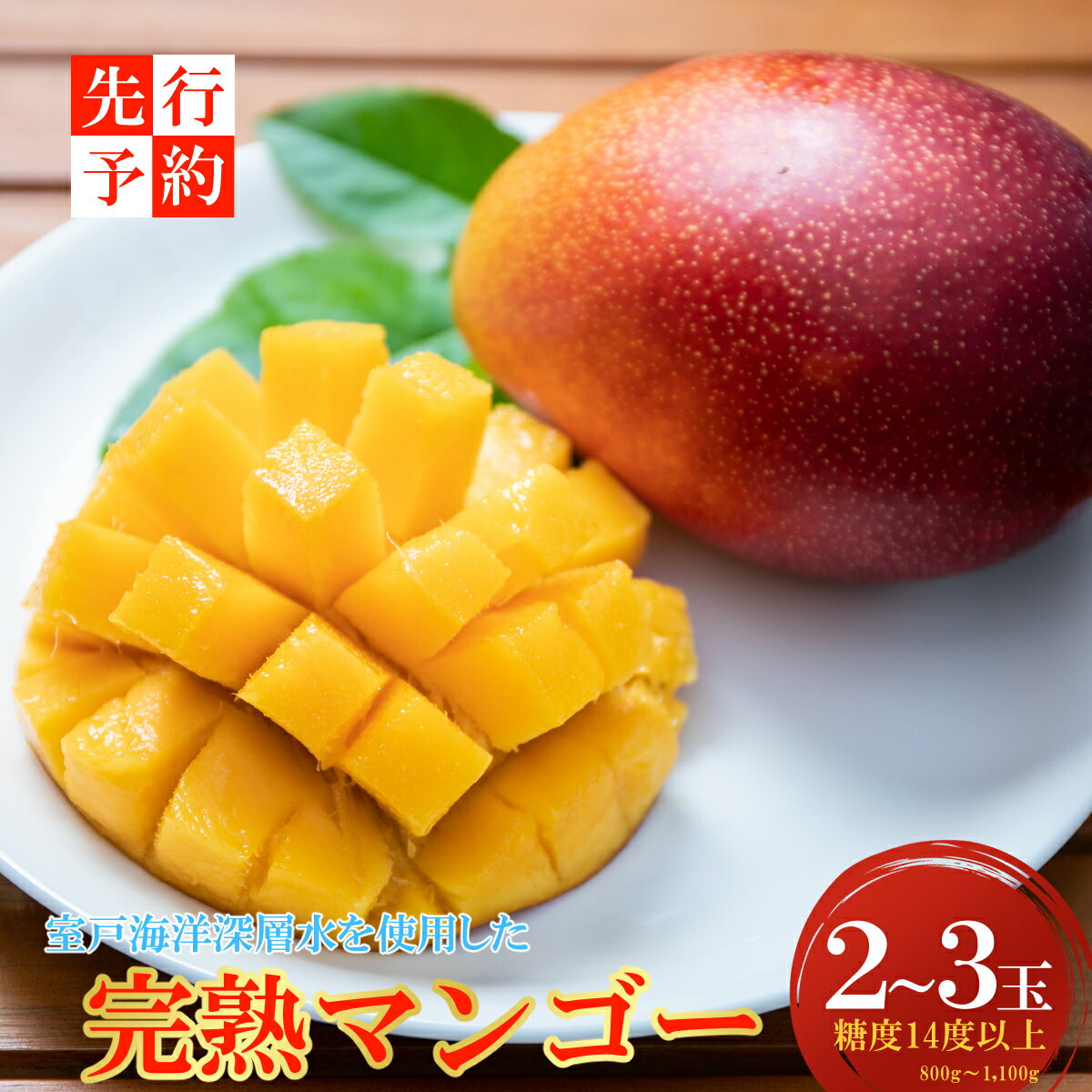 【ふるさと納税】 【令和7年6月上旬