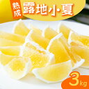【ふるさと納税】 【2026年5月より発送】 熟成 露地小夏 3kg | 柑橘 フルーツ 果物 期間限定 旬の果物 ご家庭用 生産者 農家 直送 高知県 室戸市