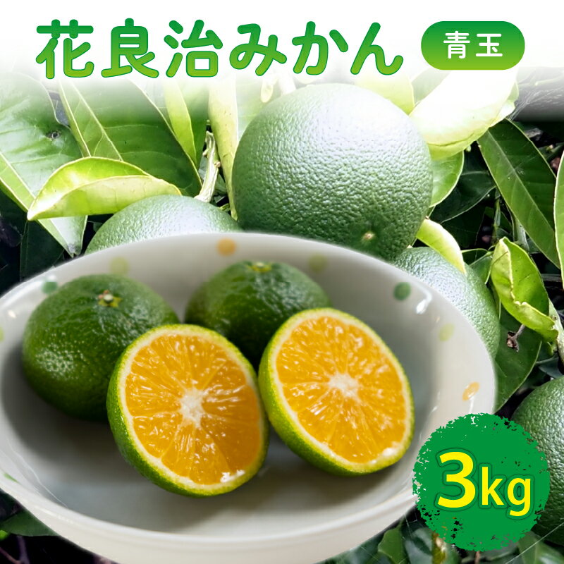 [10月下旬より出荷開始] 数量限定 花良治みかん 青玉 3kg ケラジ ミカン 柑橘 果物 くだもの 季節限定 期間限定 数量限定 旬 限定 国産 贈答 ギフト 贈り物 プレゼント 高知県 室戸市