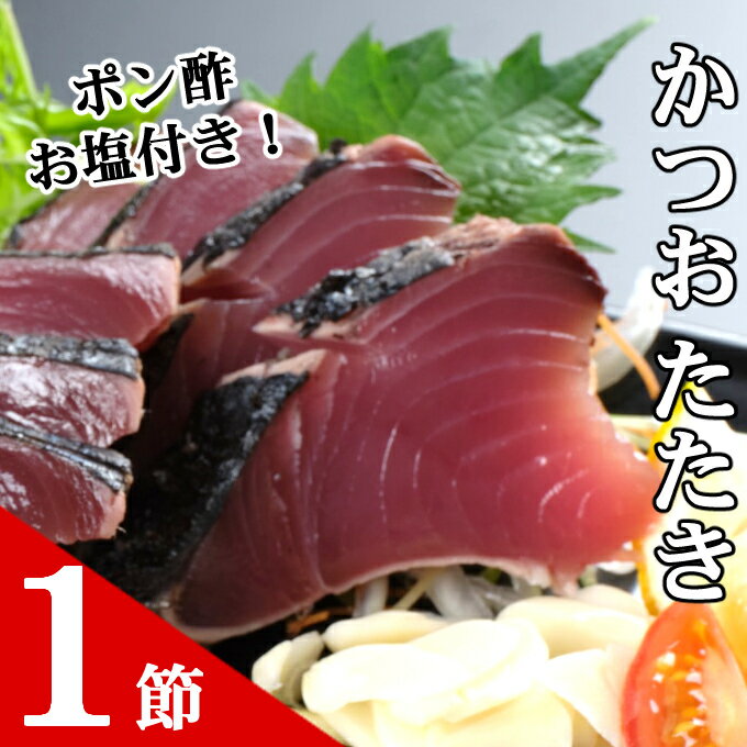【ふるさと納税】 海土がお届けする定期便(5回発送)　4万円コース　かつおのたたき 鰹 カツオ カレー たんたん麺 小分け 担々? 鶏肉 惣菜 冷凍 冷蔵 40000円 スープカレー ご自宅 送料無料 kd033