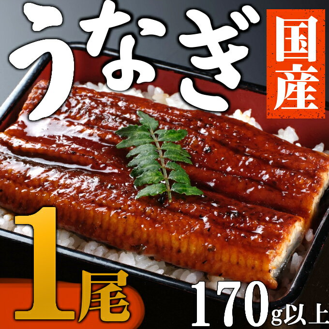 [数量限定]海土のうなぎの蒲焼き 1尾 ウナギ 鰻 惣菜 冷蔵 おかず 10000円 1万円 魚介 訳あり 送料無料