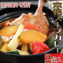 20位! 口コミ数「0件」評価「0」お家でスープカレー　ちと辛いぞね　2袋　惣菜 冷凍 おかず お手軽 鶏肉 とり 加工食品 5000円 送料無料 kd045