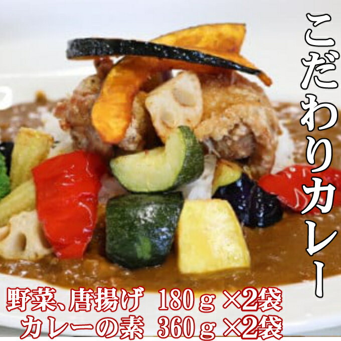 【ふるさと納税】海土こだわり大人のカレー 2袋 惣菜 冷凍 おかず お手軽 鶏肉 とり 加工食品 5000円 送料無料 kd046