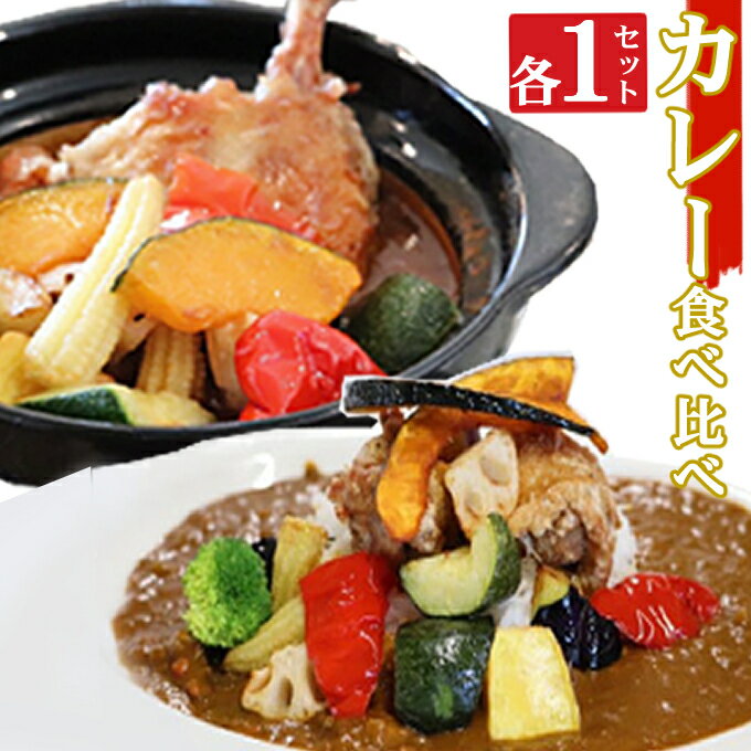 9位! 口コミ数「0件」評価「0」海土の食べ比べ　カレー編　スープカレーと大人のカレー　各1袋　惣菜 冷凍 おかず お手軽 加工食品 5000円 送料無料 kd049