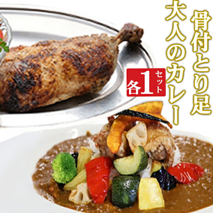 海土がお届けする 大人のカレーと骨付とり足 各1袋 惣菜 冷凍 おかず お手軽 加工食品 5000円 鶏肉 とり肉 送料無料