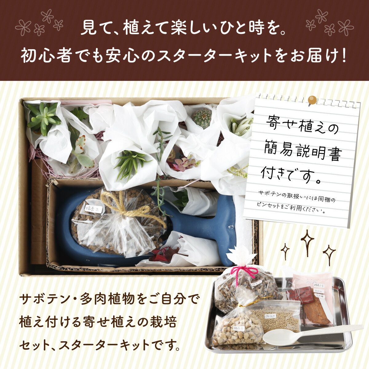 【ふるさと納税】サボテン多肉植物の小苗アソートセットW 寄せ植え説明書付 観葉植物 おすすめ 寄せ植え 栽培キット 鉢セット 初心者 sh001