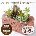 10位! 口コミ数「0件」評価「0」サボテン多肉植物の「アンティーク調鉢寄せ植えキット」（鉢色・ブラウン、鉢サイズ・小） 寄せ植え説明書付 キット 初心者 おすすめ sh006