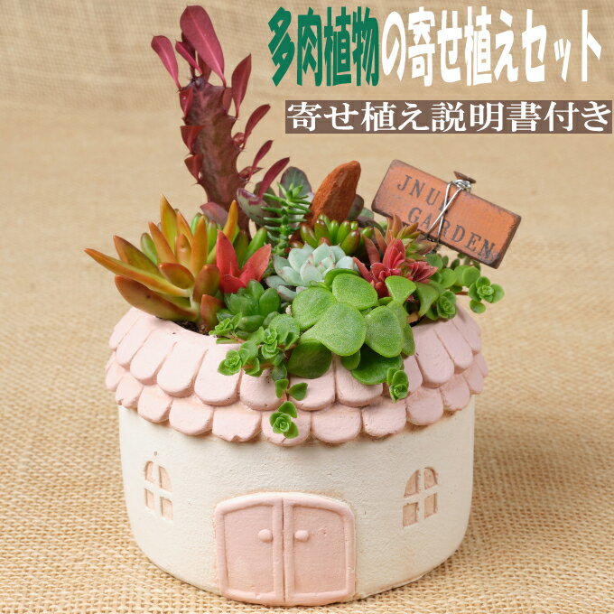 多肉植物の寄せ植えセット(メゾンラウンドポット)丸屋根(鉢色:ピンク、イエロー、グリーン、グレー)寄せ植え説明書付 キット 初心者 おすすめ 多肉植物 寄せ植え アソート