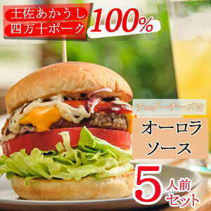 【ふるさと納税】土佐和牛＆四万十ポーク合い挽きチェダーチーズバーガーセット【オーロラソース】【5人前】＜SD010＞