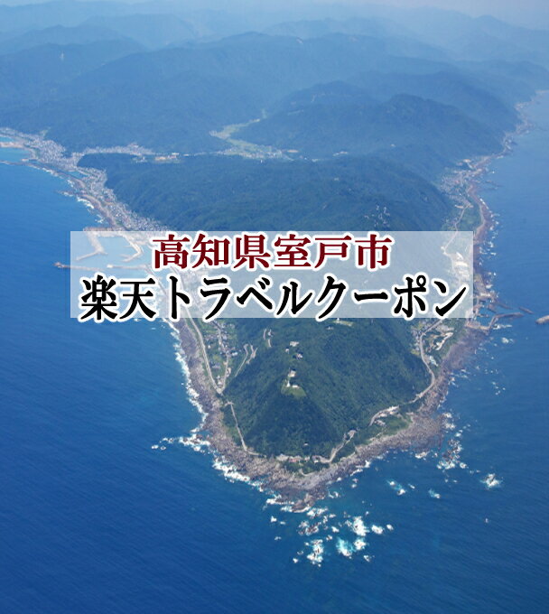 【ふるさと納税】高知県室戸市の対象施設で使える楽天トラベルクーポン 寄付額100,000円 rt010