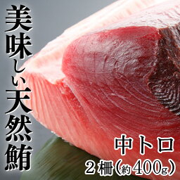 【ふるさと納税】天然本マグロ　中トロ　2柵（400g） 刺身 漬け丼 海鮮丼 マグロ丼 ちらし寿司 鮪 まぐろ ネギトロ丼 魚介 惣菜 冷凍 送料無料 eb013