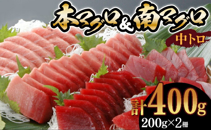 【ふるさと納税】天然本マグロ　南マグロ　中トロ各1柵　（計400g）　食べ比べ 刺身 漬け丼 海鮮丼 マ...