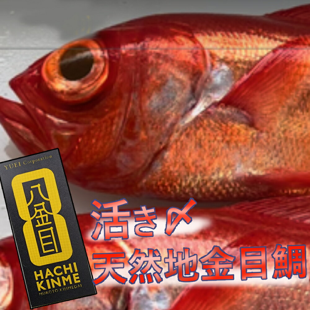 漁師直送 活き〆天然地金目鯛[八金目]800g〜900g 1匹 キンメダイ 魚 タイ 鯛 魚介類 鮮魚 海鮮 送料無料