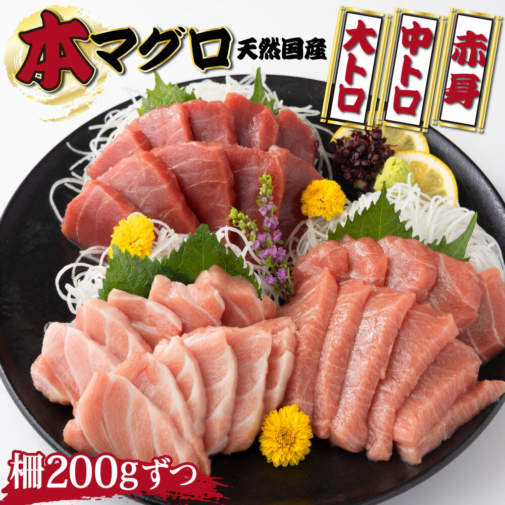 【ふるさと納税】 【漁師直送】 天然国産本マグロ 赤身・中トロ・大トロセット 計600g（赤身200g 1柵／中トロ200g 1柵／大トロ200g 1柵）天然 国産 本マグロ 魚介 漁師 直送 産直 産地直送 海鮮 惣菜 送料無料 ＜ii014＞
