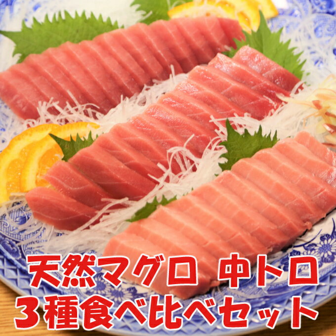 楽天高知県室戸市【ふるさと納税】天然マグロ中トロ3種食べくらべセット（本マグロ、ミナミマグロ、メバチマグロ　中トロ　各1柵） mh017