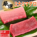 【ふるさと納税】厳選ミナミマグロ赤身、中トロ食べくらべ【誉丸】 mh015