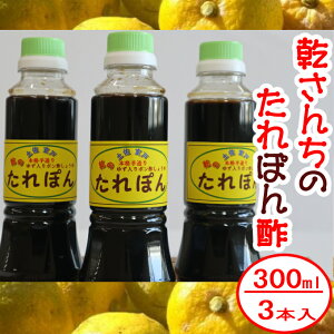 【ふるさと納税】たれぽん（ぽん酢しょうゆ）【3本入り】タレポン ポン酢 調味料 タレ ポン酢しょうゆ 常温 送料無料 in001