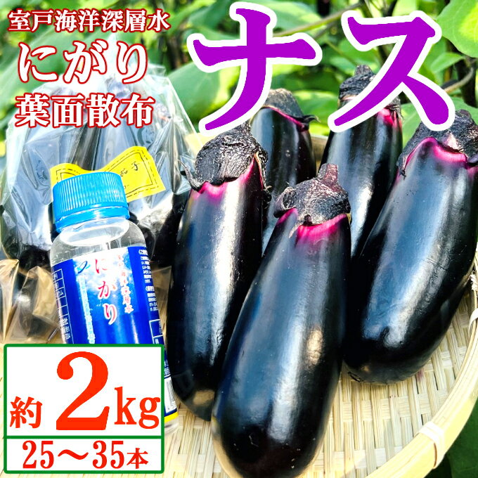 26位! 口コミ数「0件」評価「0」農家直送　土佐の美味茄子の新鮮ナス　2kg　（室戸海洋深層水にがり使用） 野菜 なす ナス 常温 小袋 国産 夏野菜 茄子 小分け 旬 50･･･ 