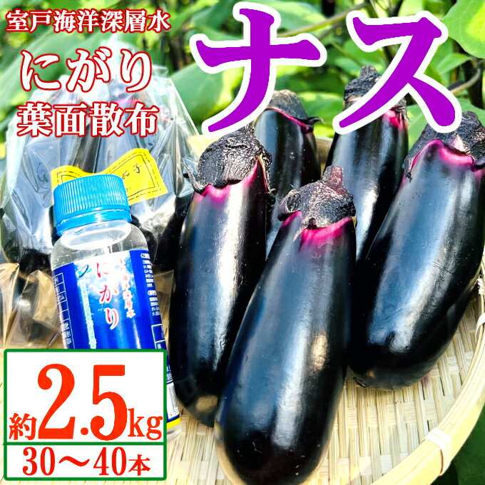 4位! 口コミ数「1件」評価「5」農家直送　土佐の美味茄子の新鮮ナス　2．5kg　（室戸海洋深層水にがり使用） 野菜 なす ナス 常温 小袋 国産 夏野菜 茄子 小分け 旬 ･･･ 