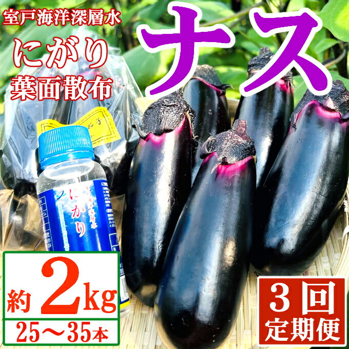 [定期便3回発送]農家直送 土佐の美味茄子の新鮮ナス 2kg (室戸海洋深層水にがり使用) 野菜 なす ナス 常温 小袋 国産 夏野菜 茄子 小分け 旬 15000円 高知