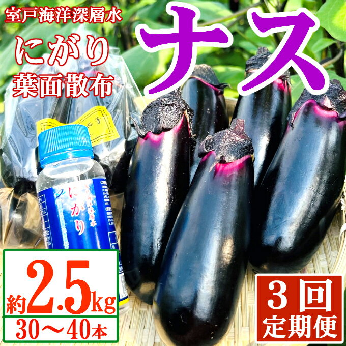 【ふるさと納税】【定期便3回発送】農家直送　土佐の美味茄子の新鮮ナス　2．5kg　（室戸海洋深層水に...