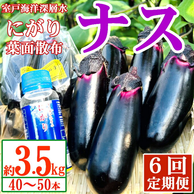 【ふるさと納税】 【定期便6回発送】 農家直送 土佐の美味茄子の新鮮ナス 3.5kg(室戸海洋深層水にがり使用) 野菜 なす ナス 常温 小袋 国産 夏野菜 茄子 小分け 旬 高知 bn016
