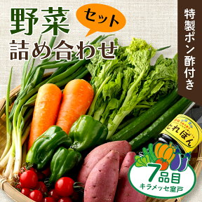 【ふるさと納税】【コロナ緊急支援品】野菜 7種類 詰め合わせセット(特製ポン酢付) 新鮮 旬 春 おまかせ 5000円 故郷納税 送料無料