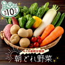 【ふるさと納税】【4ヶ月連続定期便】【訳あり】朝どれ野菜 10品目 春 旬 新鮮 野菜 おまかせ 送料無料