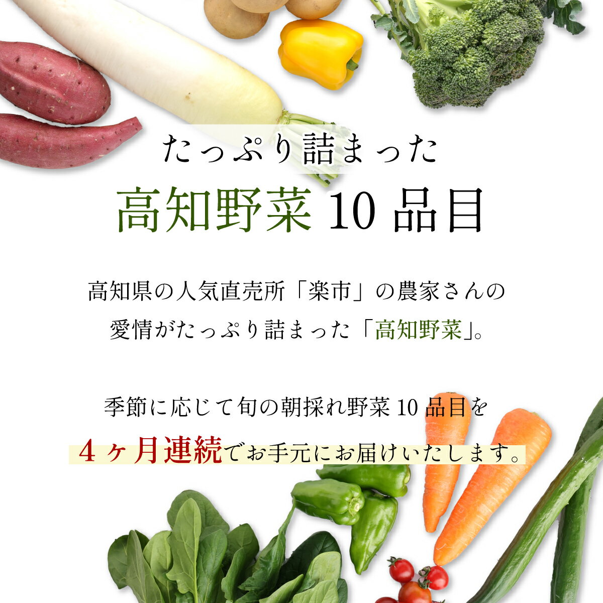 【ふるさと納税】【4ヶ月連続定期便】【訳あり】朝どれ野菜 10品目 春 旬 新鮮 野菜 おまかせ 送料無料