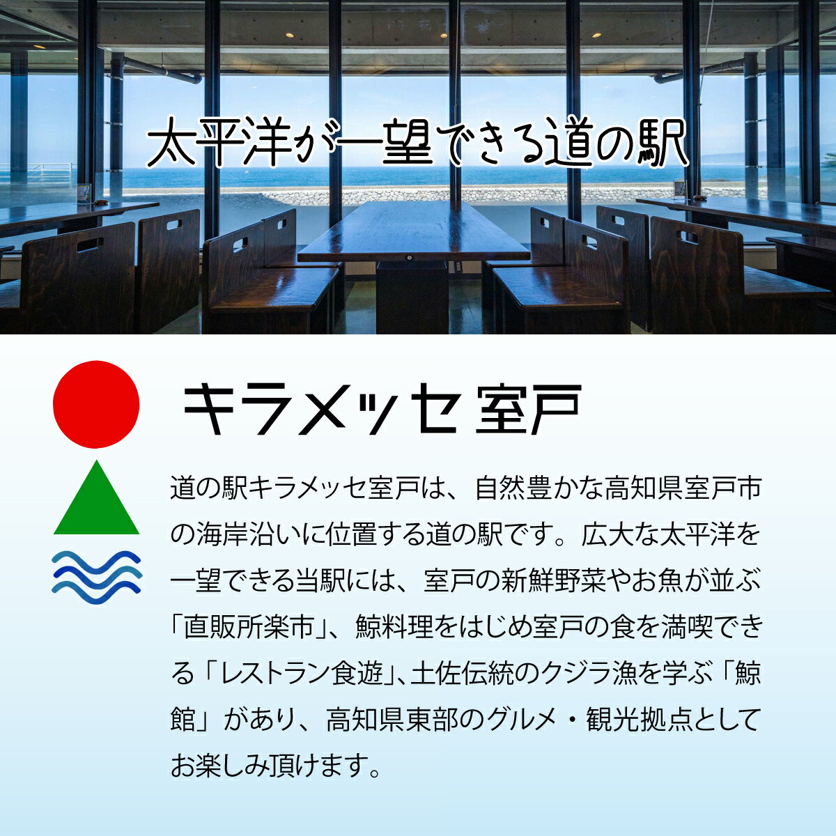 【ふるさと納税】 高知名物！老舗のぼうしパン＆自家製食パンセット (食パン3斤・ぼうしパン3個) 2種類 セット 詰め合わせ パン 自家製 食パン 食品 冷凍配送 送料無料