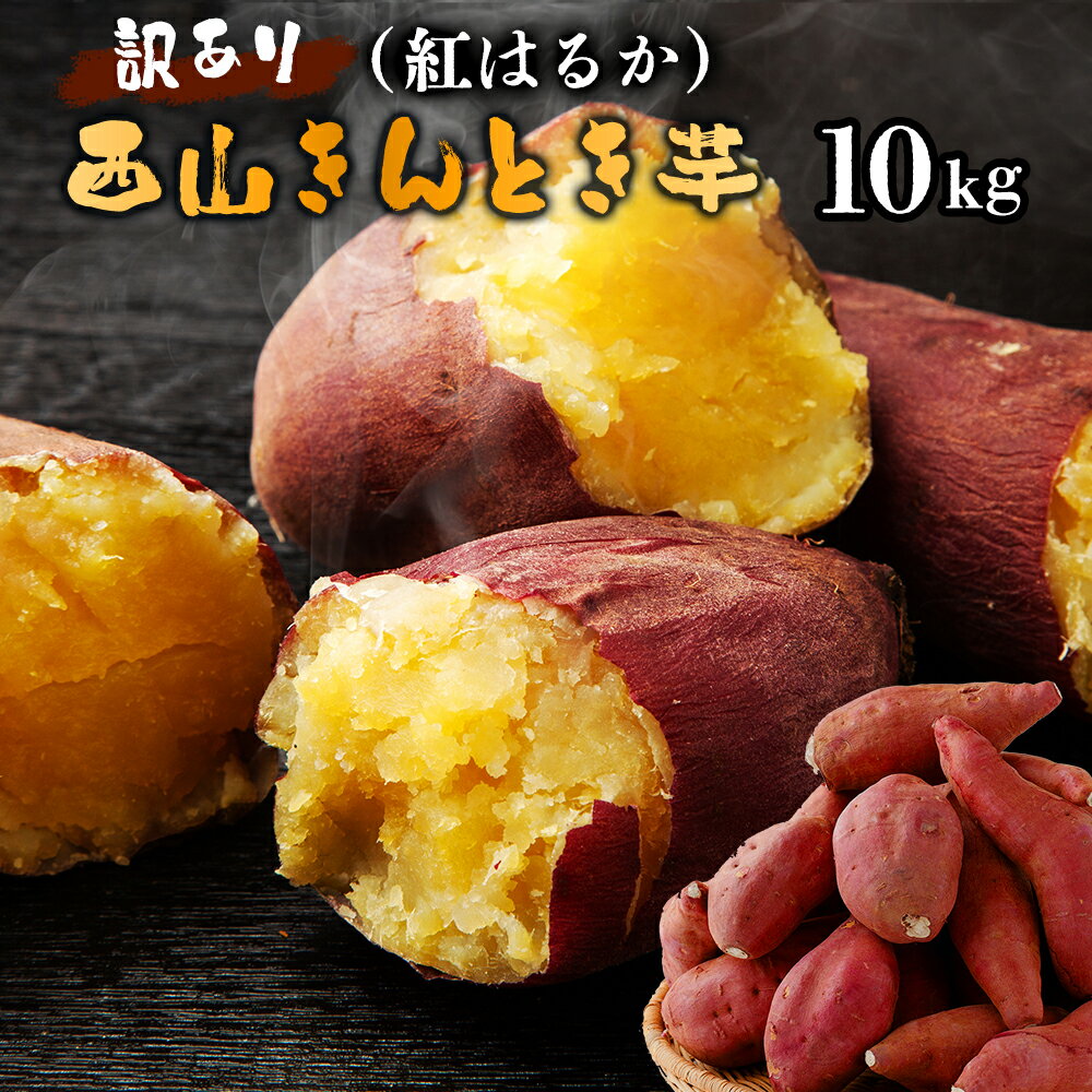 【ふるさと納税】【訳あり】土付き西山きんとき芋（紅はるか）　10kg さつまいも サツマイモ さつま芋 干し芋 焼き芋 やきいも ヤキイモ 野菜 大小混合 傷 10000円 1万円 送料無料 ta002のサムネイル