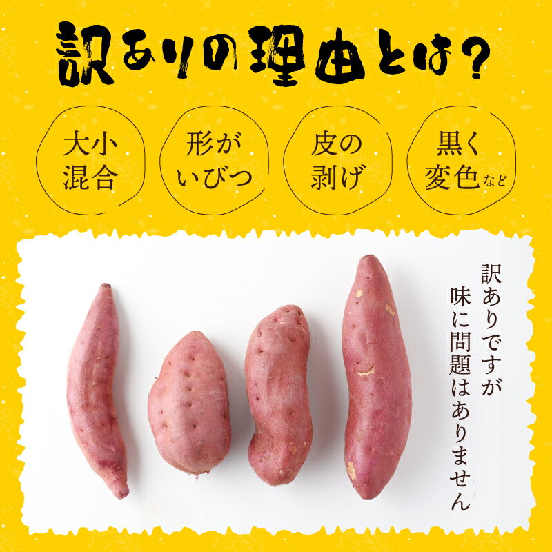 【ふるさと納税】【令和6年4月お届け】【訳あり】西山きんとき芋 10kg さつまいも サツマイモ さつま芋 焼き芋 やきいも ヤキイモ 野菜 大小混合 傷 送料無料 故郷納税 9000円 ta006