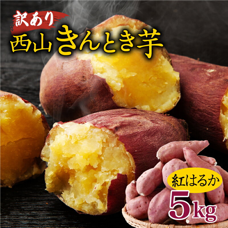 【ふるさと納税】【訳あり】土付き西山きんとき芋（紅はるか）　5kg さつまいも サツマイモ さつま芋 干し芋 焼き芋 やきいも ヤキイモ 野菜 大小混合 傷 送料無料 ta001のサムネイル