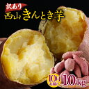 【ふるさと納税】 【令和7年10月お届け】 西山きんとき芋 10kg | さつまいも 芋 サツマイモ 訳あり わけあり 産地直送 さつま芋 人気 ランキング お...
