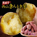【ふるさと納税】 【訳あり】 西山きんとき芋 5kg | さつまいも 芋 サツマイモ 訳あり わけあり 産地直送 さつま芋 人気 ランキング おすすめ 金時芋 ...