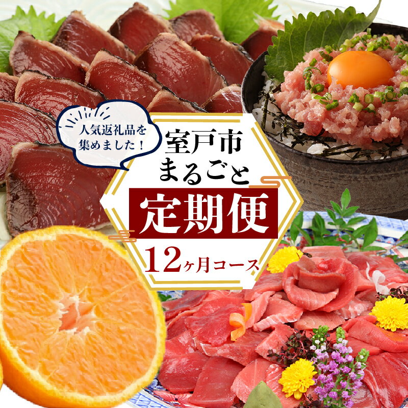 【ふるさと納税】 【定期便 12回】室戸まるごと定期便 人気の品12か月お届けコース 定期便 海鮮 定期便 肉 定期便 果物 かつお まぐろ ネギトロ ハンバー...