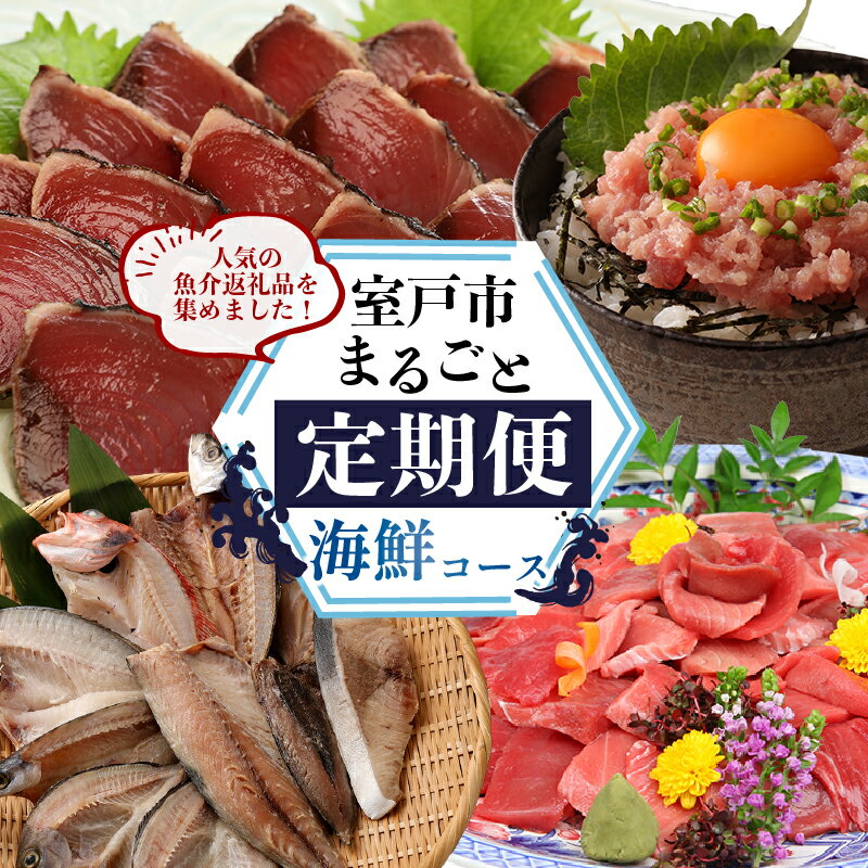 【ふるさと納税】 【定期便 12回】室戸まるごと定期便 海鮮コース 海鮮 魚介 かつお 本マグロ ネギトロ 伊勢海老 鰹 かつおのたたき マグロ 鮪 イセエビ 魚介類 海の幸 海鮮定期便 高知県 室戸市