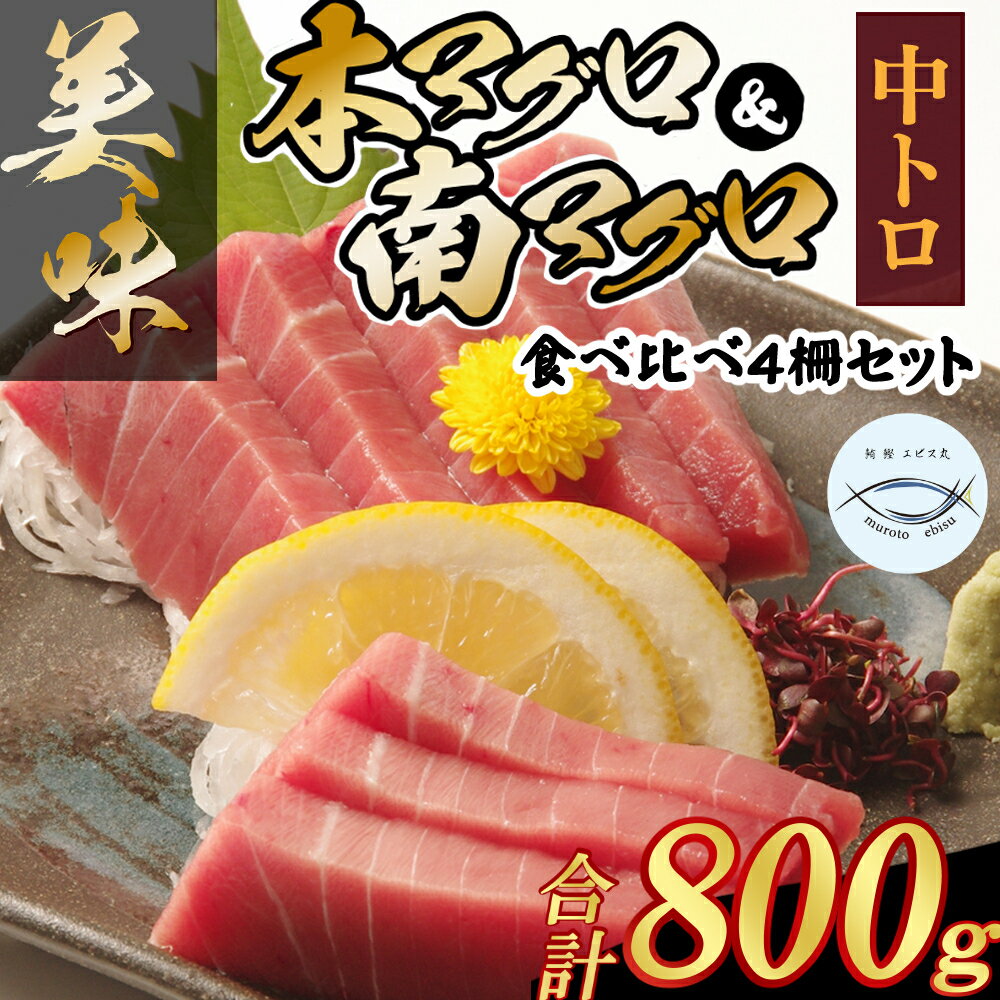 厳選天然本まぐろ中トロ2柵 と 厳選天然南まぐろ2柵 食べ比べ 合計800g まぐろ マグロ 鮪 本マグロ 本まぐろ 天然 魚 海鮮 魚介 比較