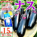 【ふるさと納税】 【最短7日以内発送!】 農家直送 土佐の美味茄子の新鮮ナス 1.5kg (室戸海洋深層水にがり使用) 野菜 なす ナス 常温 小袋 国産 夏野...