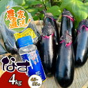 【ふるさと納税】 【最短7日以内発送!】 農家直送 土佐の美味茄子の新鮮ナス 4kg (室戸海洋深層水にがり使用) 野菜 なす ナス 常温 小袋 国産 夏野菜 茄子 小分け 旬 高知 bn005